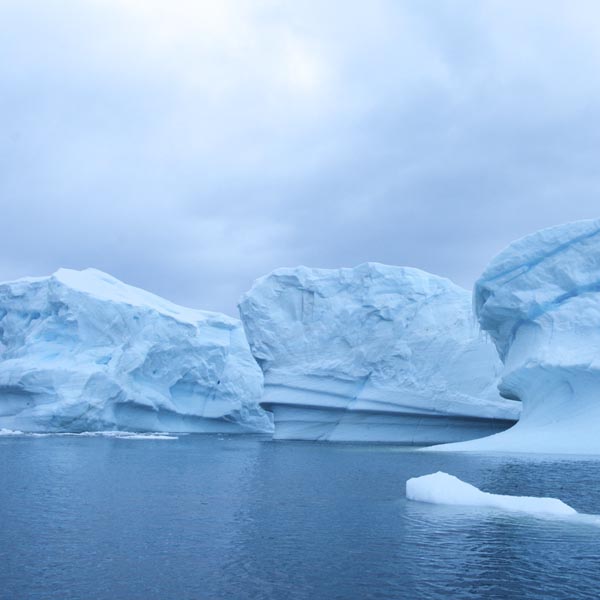 Icebergs / Terres Australes