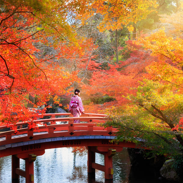 Honshū en automne / Kyoto