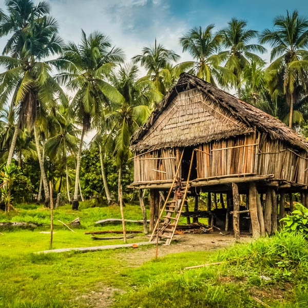 Maison en bambou à Palembe