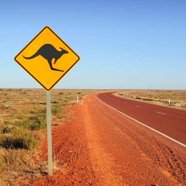 Outback & panneau kangourou